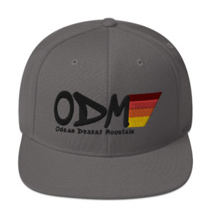 ODM Logo Grey Snapback Hat